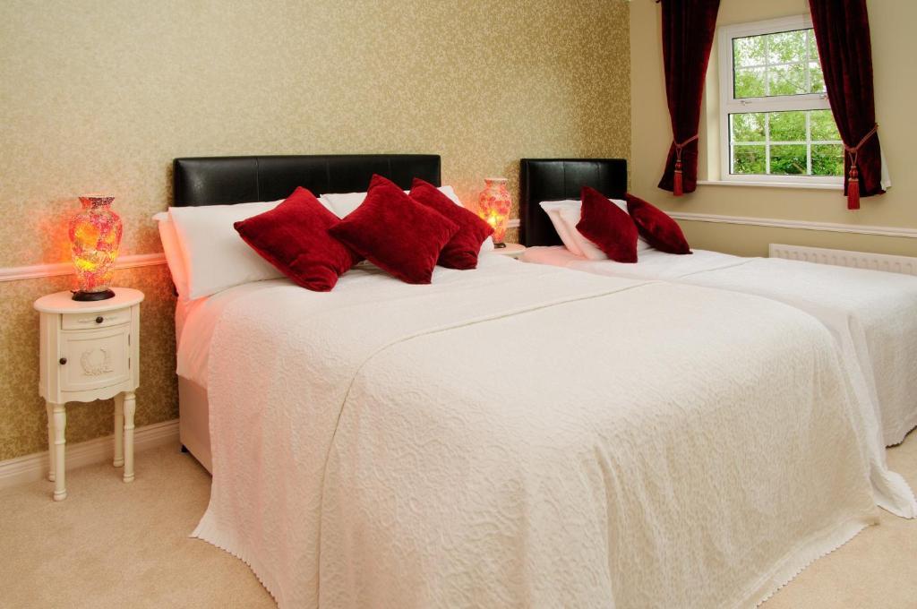 Sika Lodge Guesthouse Killarney Chambre photo